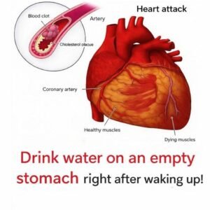 Read more about the article Does drinking water first thing in the morning offer benefits?