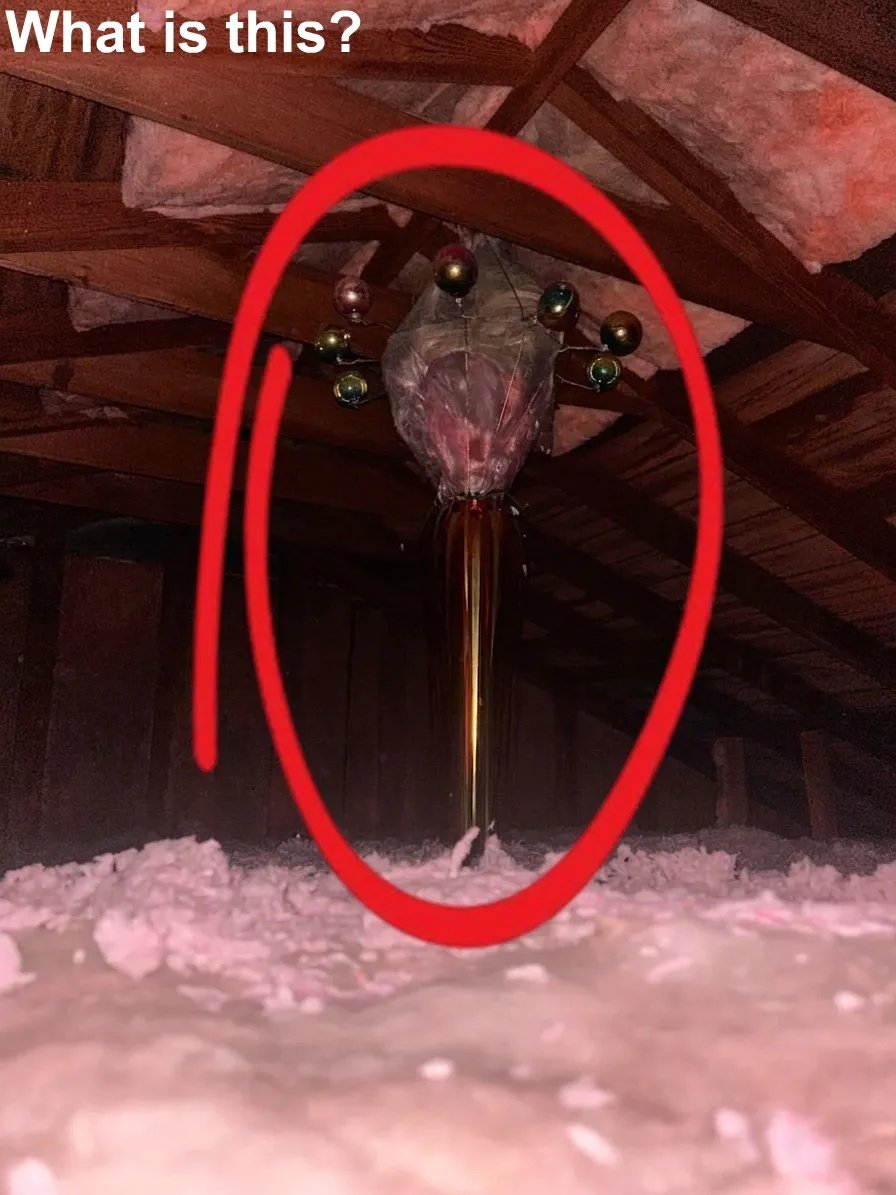 Read more about the article How to Identify Strange Attic Finds Before Jumping to Conclusions
