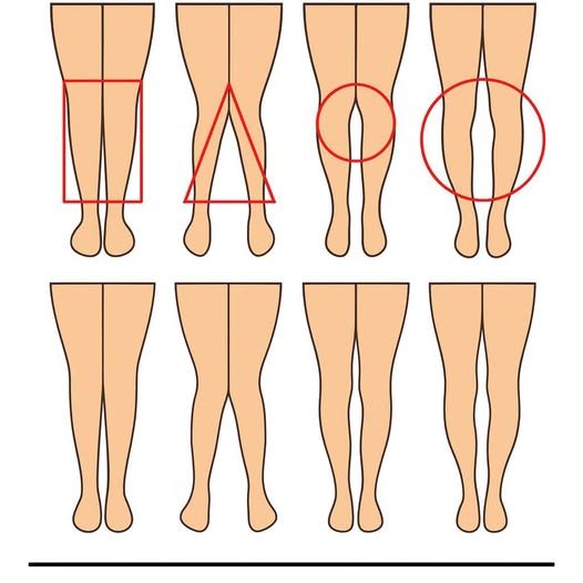 Read more about the article A WOMAN’S LEGS CAN TELL HOW HER IS…See More