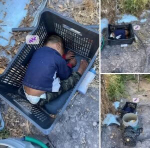 Read more about the article About a 2-Year-Old Found Wandering Alone—